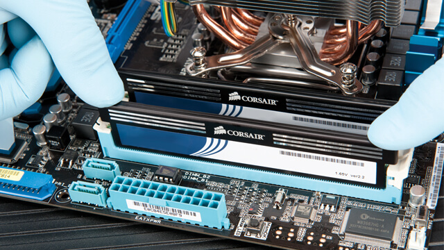 PC Hardware Installs Fig Tree Pocket