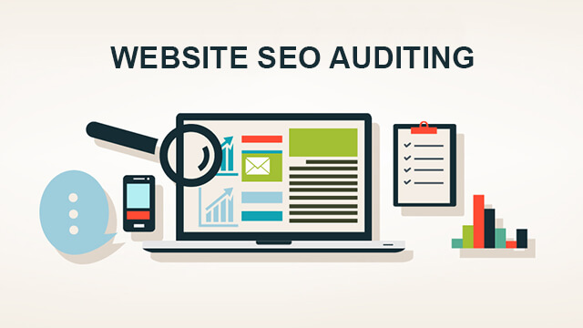 SEO Audit Fig Tree Pocket